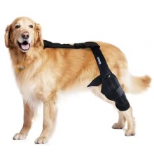Neoprene Orthopedic Dog Leg Brace for Knee Support and Recovery