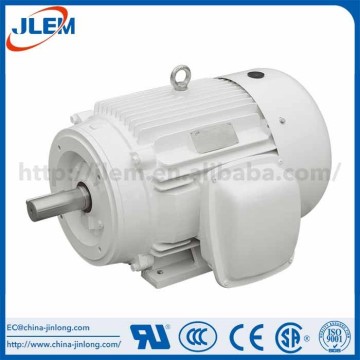 NEMA oil well pump motor