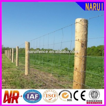 Cheap Galvanized Field Wire Meadow Fence