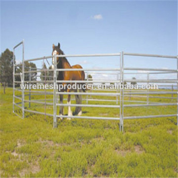 Horse round yard panels