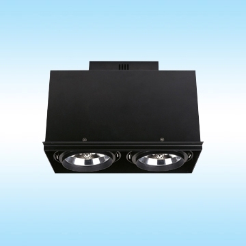 Multiple Down Lights - Surface Mount