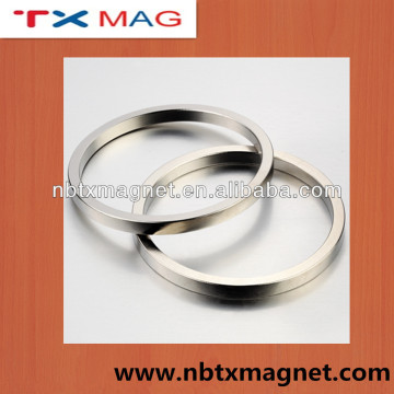 Ring Shaped Sintered NdFeB Magnet