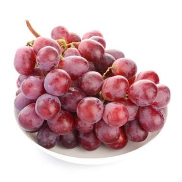 fresh red globe grapes Chinese red grapes  red globe grape