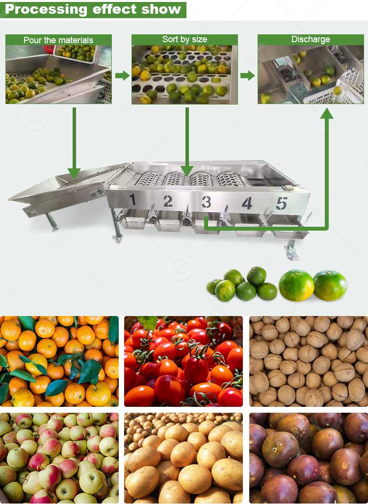 Mango Date Automatic Cherry Vegetable Fruit Olive Garlic Size Grading Sorting Machine for Fruit and Table