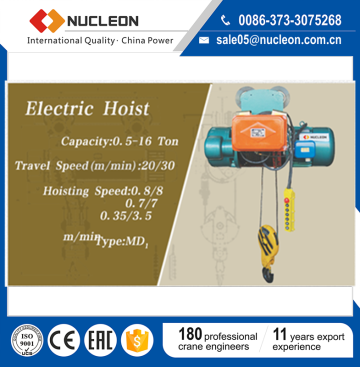 110V Electric Hoist Price