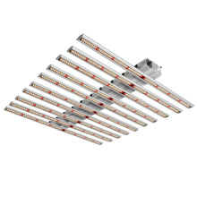 800W LED Grow Bars để làm vườn thẳng đứng