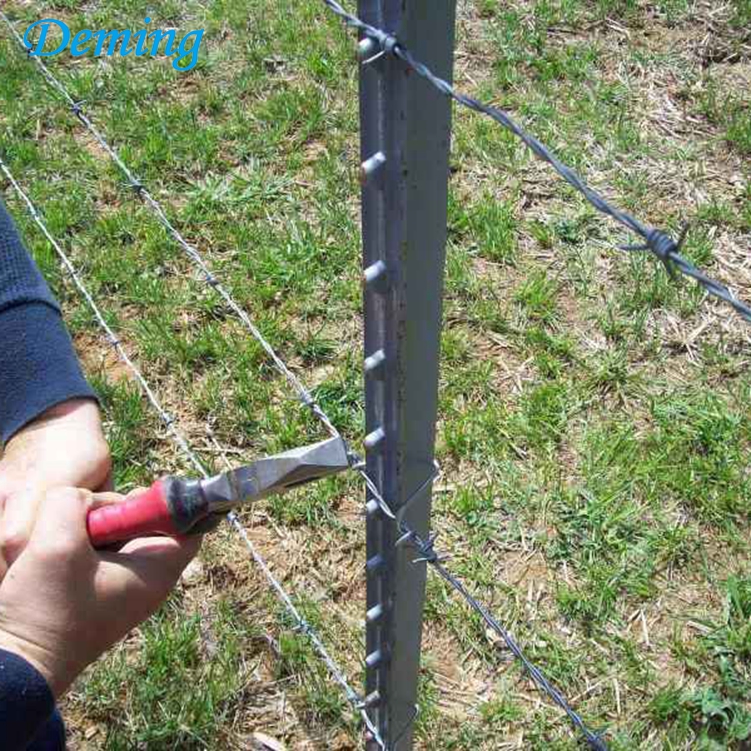 Wholesale Hot Dipped Galvanized Studded T Post