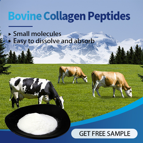 Wholesale Price Hydrolyzed Protein Collagen Peptides Powder
