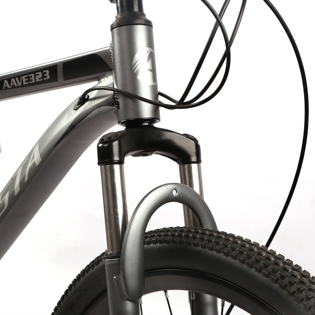 Avasta New Arrival 21 Speed Steel Frame Disc Brake Mountain Bicycle
