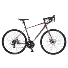 Affordable Tianjin Factory Alloy Frame Road Bicycles for Racing