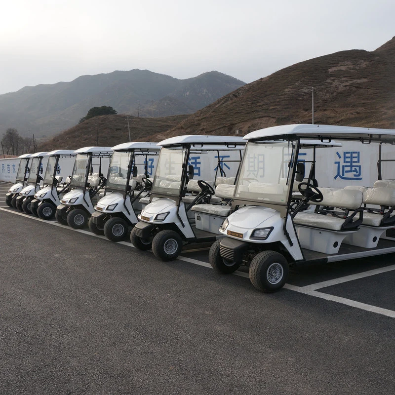 Factory Price 6+2 Electric Golf Carts