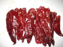 Dried Paprika Pods Without Stems