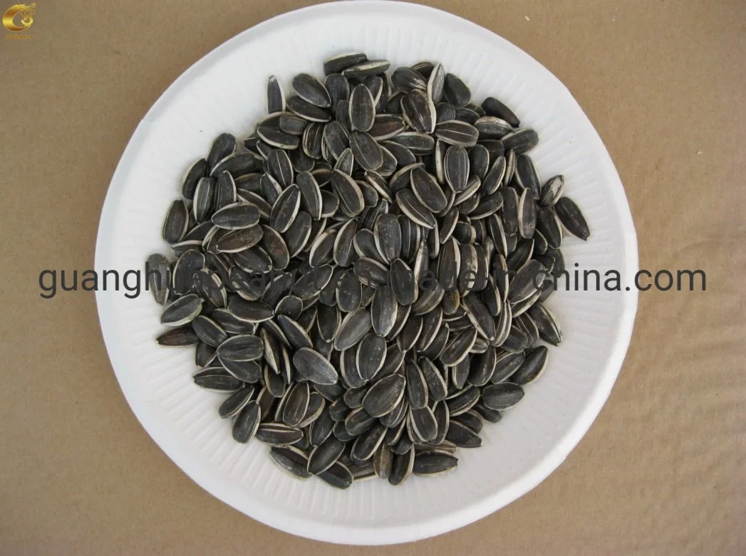 Perfect Quality Sunflower Seeds New Crop with Ce