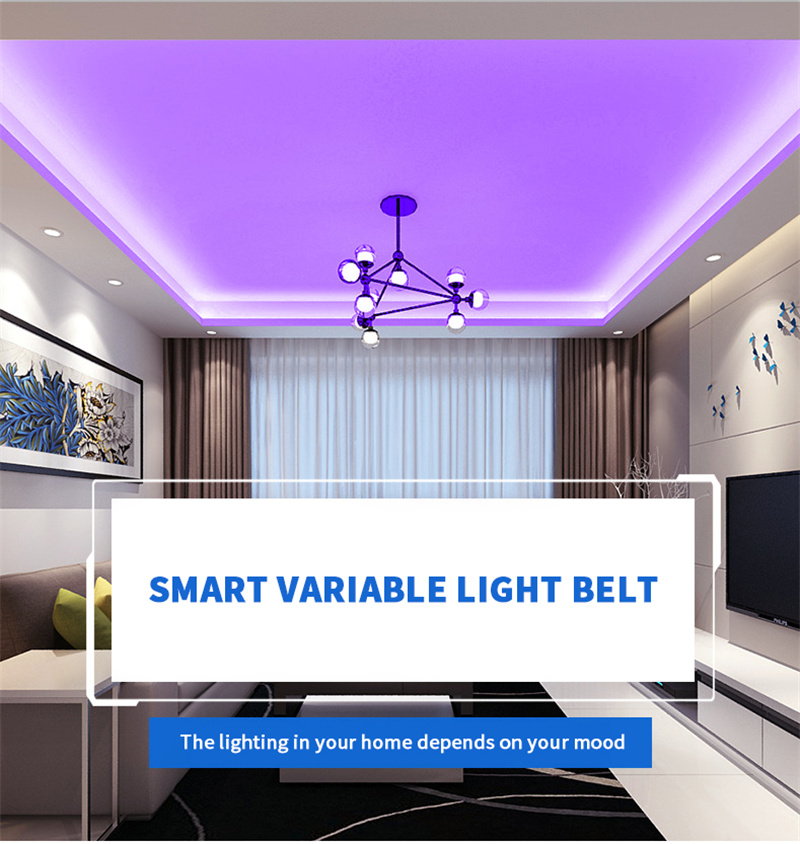 AC 220V IP65 PVC cover Double-Row Smart Light Strip Multi Color RGB cover flexible strip SMD 5050 led rope light