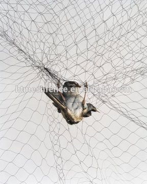 Nylon bird capture net