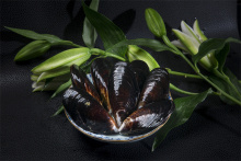 New Arrival Frozen Boiled Mussel Meat