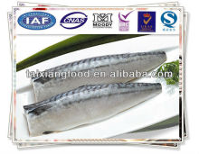 Norway Mackerel Fillet(Scomber Scombrus)