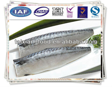 Norway Mackerel Fillet(Scomber Scombrus)