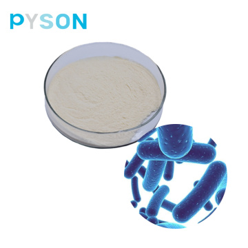 Probiotic powder Lactobacillus plantarum powder