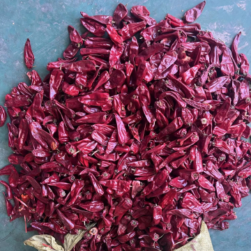 Competitive Price Dried Whole Red Chilli Peppers