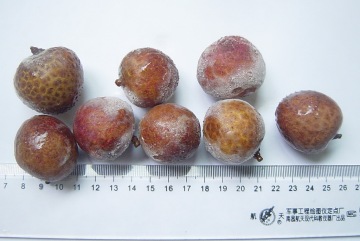 Frozen Fruit Frozen Litchi / Frozen Lychee