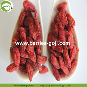 Nhà máy cung cấp khô tất cả các loại Goji Berry