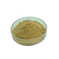 Chrysin Oroxylum Indicum Extract Chrysin Powder