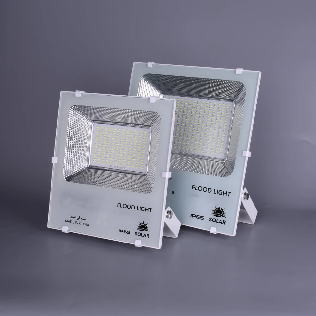 Solar LED Flood Light