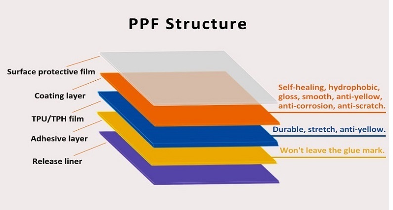 Automotive Paint Protection Film