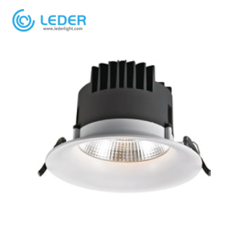 LEDER Aluminum Body COB 40W LED Downlight