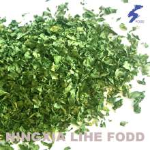 Parsley leaves Air dried granula
