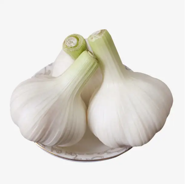 Fresh garlic in bulk, Fresh Vegetables, good quality