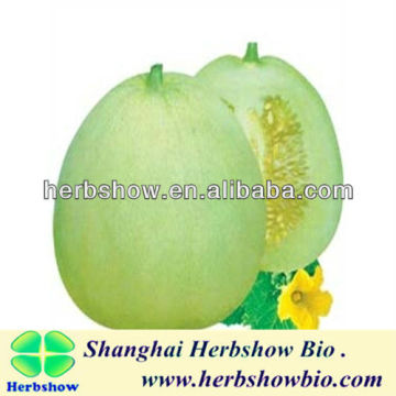 Big fruit Sweet Melon seeds for cultivating