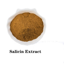 Buy online active ingredients Salicin Extract Powder