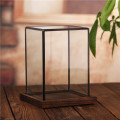 Indoor Tabletop Irregular Air Plants Box Desktop Display Planter Geometric Terrarium