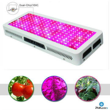 2000W Led Grow Light For Medical Plant Growth
