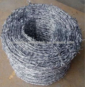 Galvanised barbed iron wire (supplier)