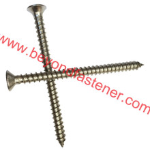 Ss Countersunk Head Tapping Screw Torx Driver