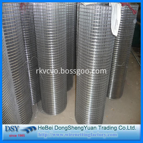 1/4 Inch Galvanized Welded Wire Mesh