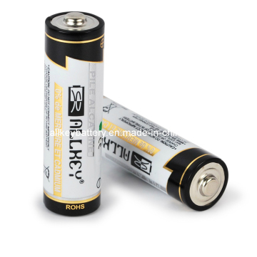 AA Alkaline Battery