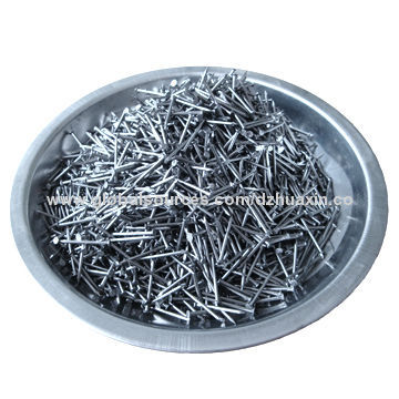 Galvanized nail, best service competitive price, for building construction, packing and furniture