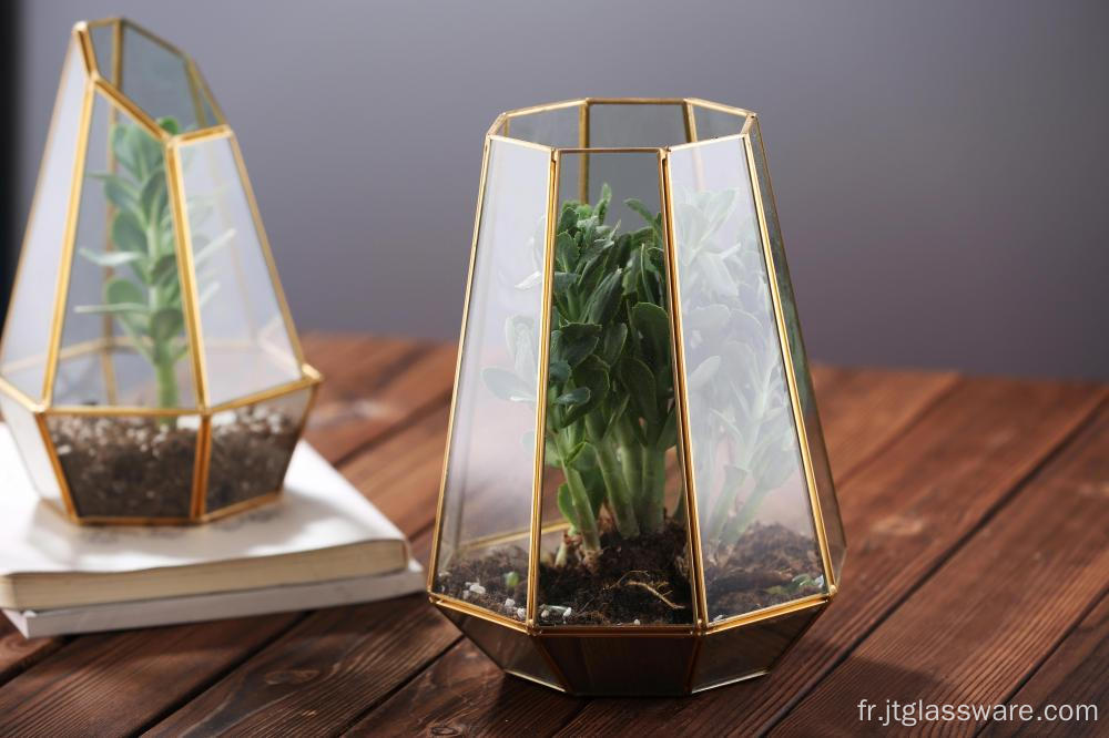 Conteneur géométrique de terrarium de maison en verre pour le décor