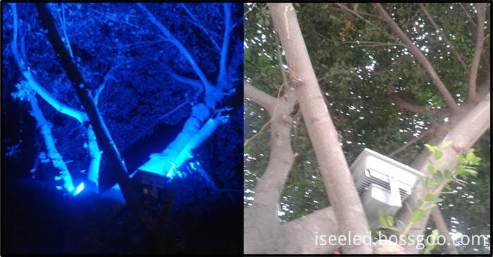 led uplight Flood Light for tree