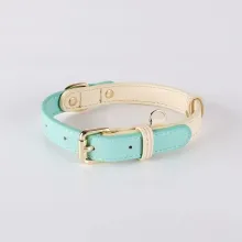 Leather Dog Lead Collar Set