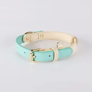 Leather Dog Lead Collar Set