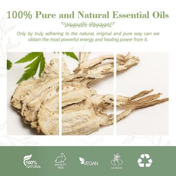 Pure Nature Angelica Oil Destilación de vapor para suavizar el masaje