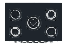 Integrated Steaming and Roasting Stove