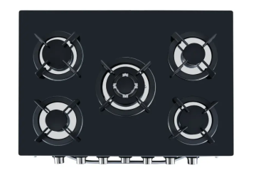 Integrated Steaming and Roasting Stove