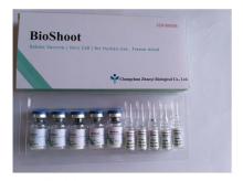 Rabies Vaccine While Pregnant