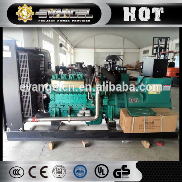 Gas Generator Set Natural Gas Backup Generator